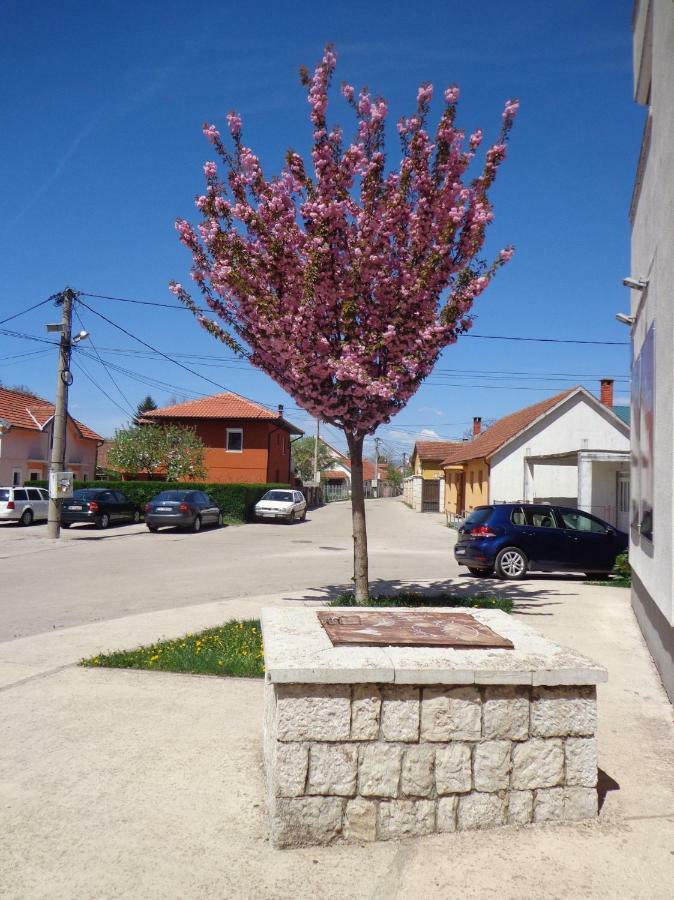 Apartman Bedem Nikšić Exteriör bild
